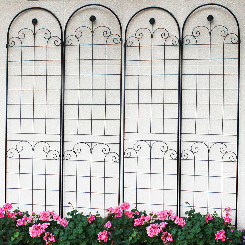 Red Barrel Studio® Jaylarose Metal Garden Trellis, Flower Stand Trellis